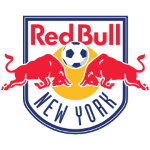 New York RB team logo