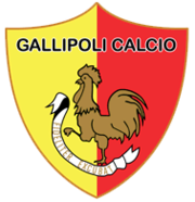 transfer-team-logo