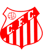 transfer-team-logo