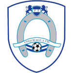 Colchagua team logo