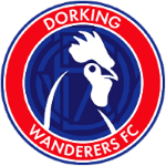 Dorking Wanderers team logo