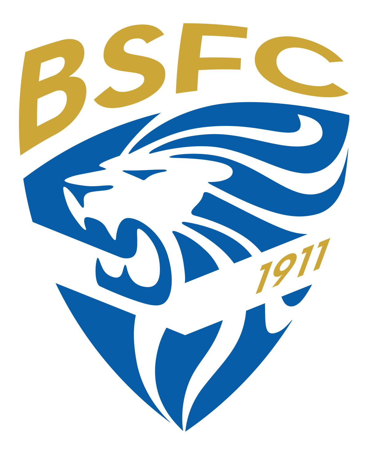 team-logo