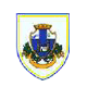 Scandicci team logo