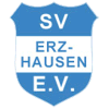 Skala Stryi team logo