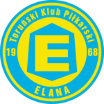 Elana Torun team logo