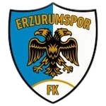 Erzurumspor FK team logo