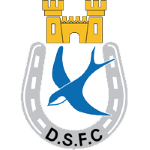 Dungannon Swifts team logo