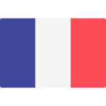 France team logo