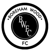 team-logo