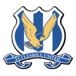 Eccleshill United team logo