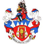 team-logo
