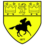 Newmarket Town team logo