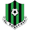 Rokycany team logo