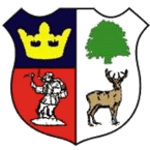 Cinderford Town team logo