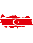 Vatanspor team logo