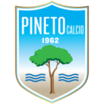 Pineto team logo