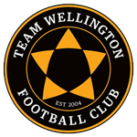 transfer-team-logo