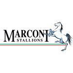 transfer-team-logo
