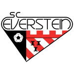 Everstein team logo