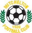 Mitchelton team logo
