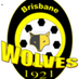 Wynnum Wolves FC team logo