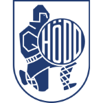 Hodd team logo