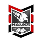 Holland Park Hawks team logo