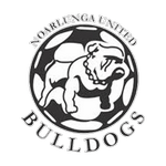 Noarlunga United team logo