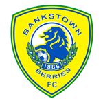 Bankstown Berries team logo