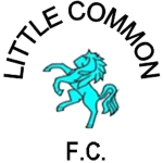 team-logo