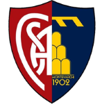 Montevarchi team logo