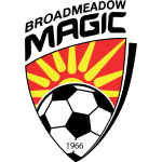 Broadmeadow Magic team logo