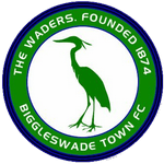 Biggleswade Town team logo