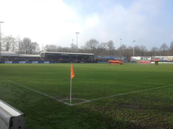 stadium-image