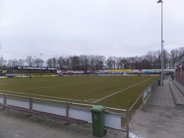 stadium-image