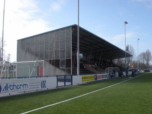 stadium-image