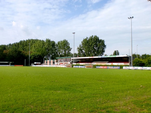 stadium-image