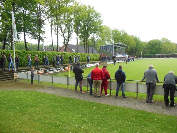 stadium-image