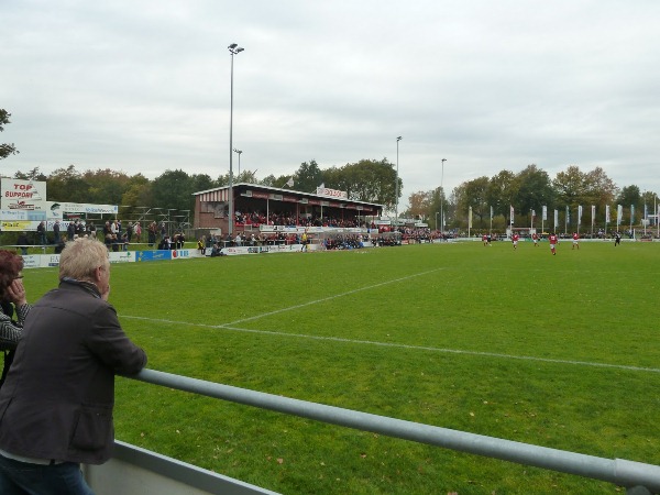 stadium-image