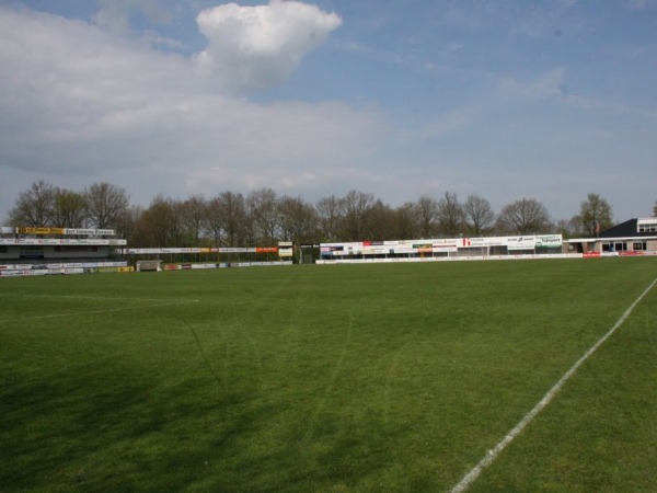stadium-image