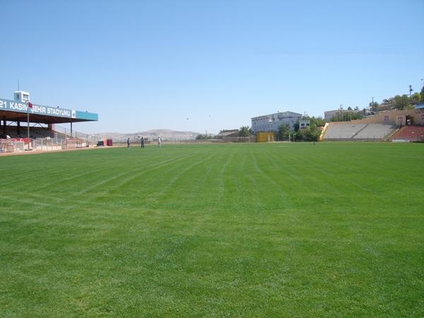 stadium-image
